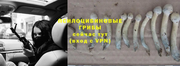 PSILOCYBIN Алексин