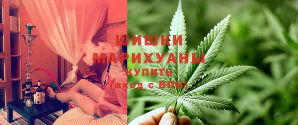 PSILOCYBIN Алексин