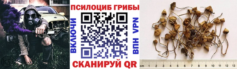 Псилоцибиновые грибы GOLDEN TEACHER mega как зайти Билибино